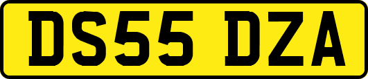 DS55DZA
