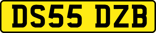 DS55DZB