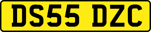 DS55DZC