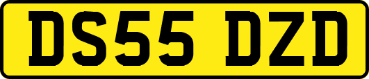 DS55DZD