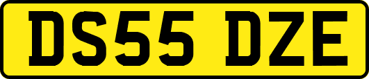 DS55DZE