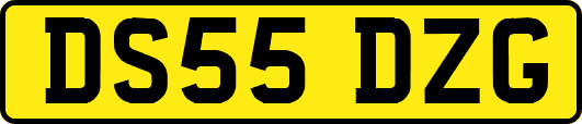 DS55DZG