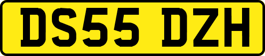 DS55DZH