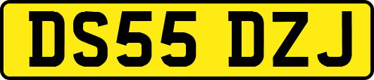 DS55DZJ