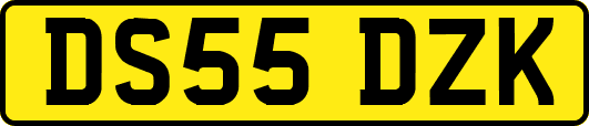 DS55DZK