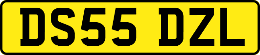 DS55DZL
