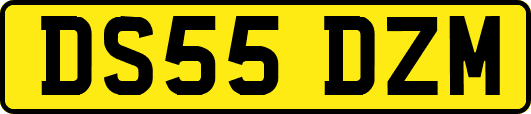 DS55DZM