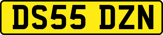 DS55DZN