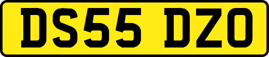 DS55DZO