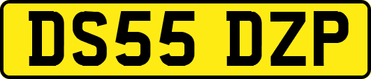 DS55DZP