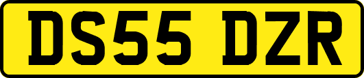 DS55DZR