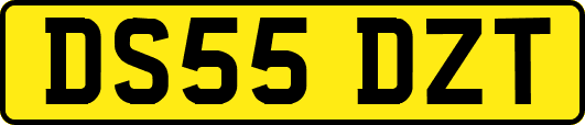 DS55DZT