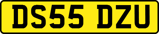DS55DZU