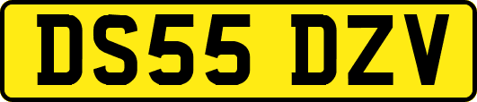 DS55DZV