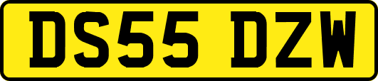 DS55DZW