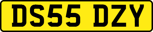 DS55DZY