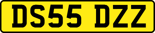 DS55DZZ