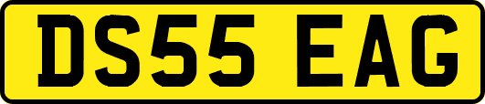 DS55EAG