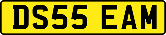 DS55EAM