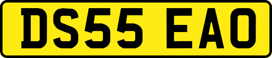 DS55EAO