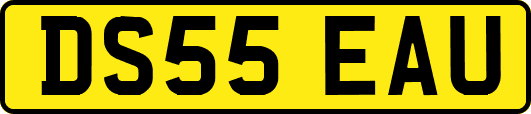 DS55EAU