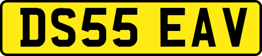 DS55EAV