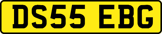 DS55EBG