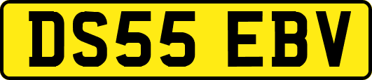 DS55EBV