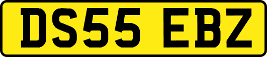 DS55EBZ