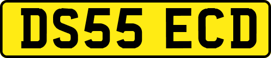 DS55ECD