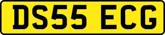 DS55ECG