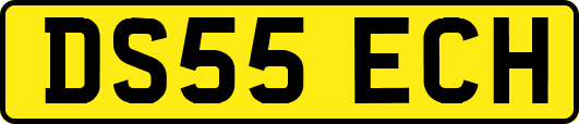 DS55ECH