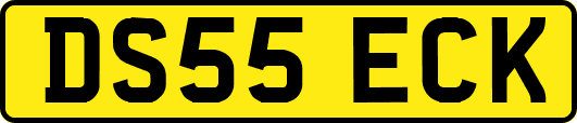 DS55ECK