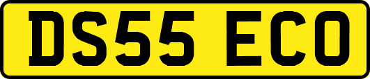 DS55ECO
