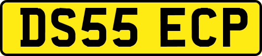 DS55ECP