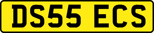 DS55ECS