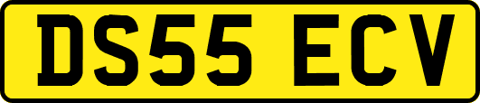 DS55ECV