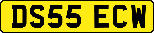 DS55ECW