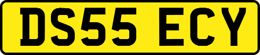 DS55ECY