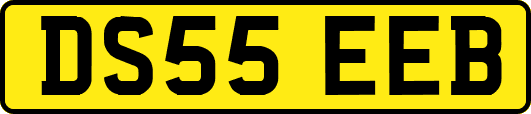 DS55EEB