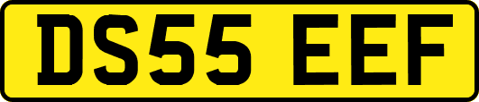 DS55EEF