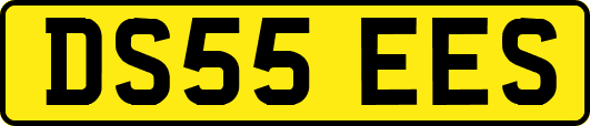 DS55EES