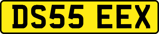 DS55EEX