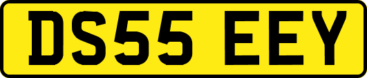 DS55EEY
