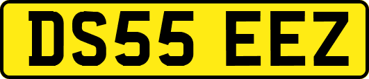 DS55EEZ