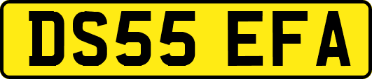 DS55EFA