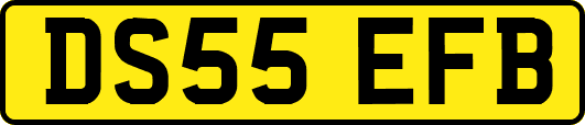 DS55EFB