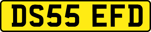 DS55EFD