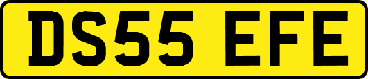 DS55EFE