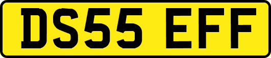 DS55EFF